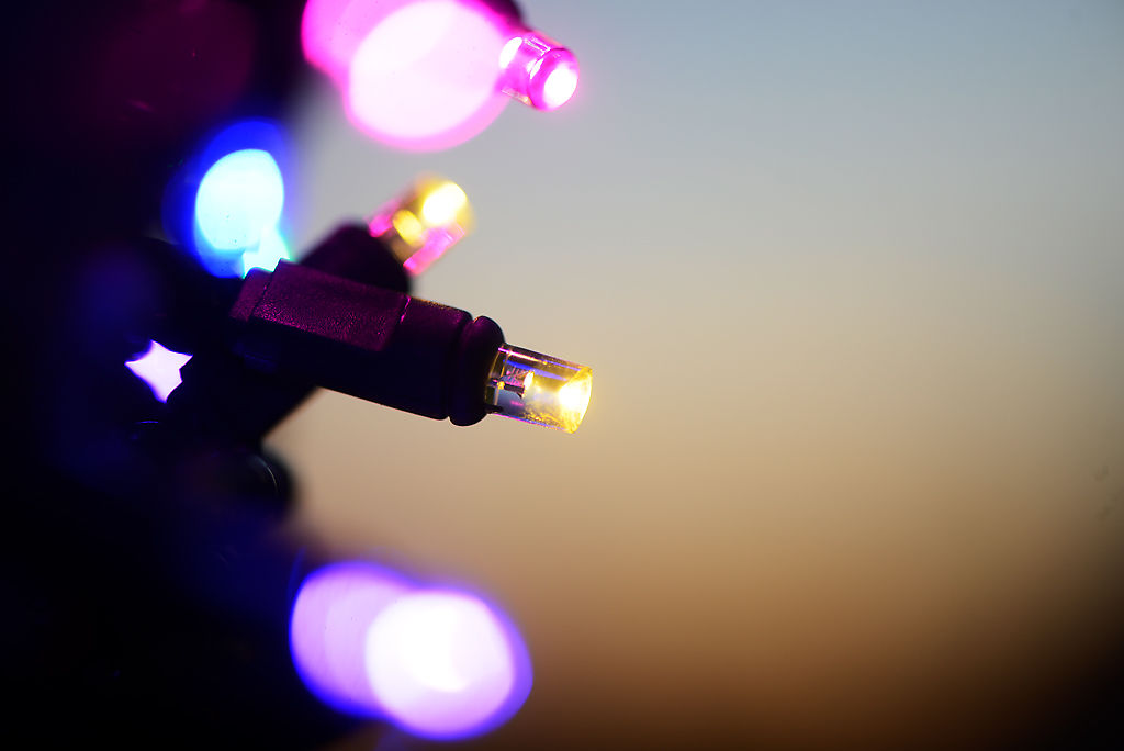 The lights on the magic tree include a wide variety of colors including red, blue, green, yellow and purple